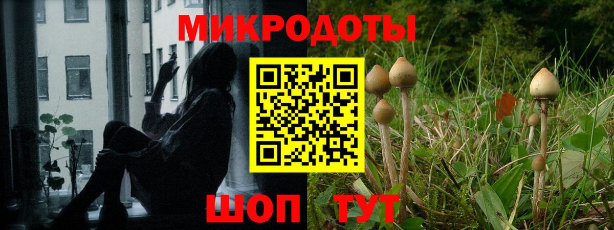 Псилоцибиновые грибы Cubensis  Вход с VPN  Омск 